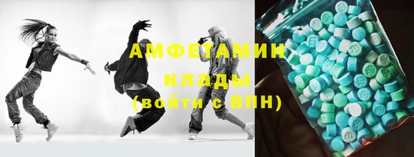 гидра Алексеевка