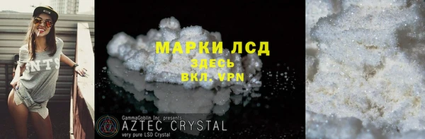 крисы Алзамай