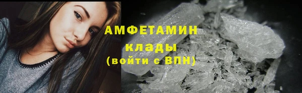 крисы Алзамай