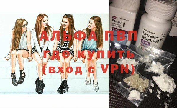 крисы Алзамай