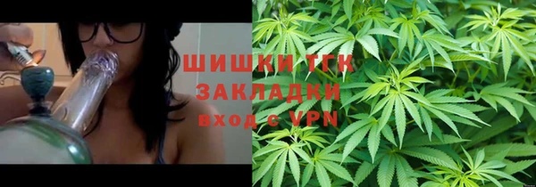 гидра Алексеевка