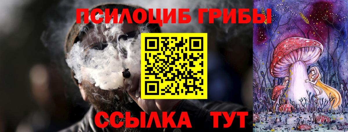 Псилоцибиновые грибы мицелий Южно-Сахалинск