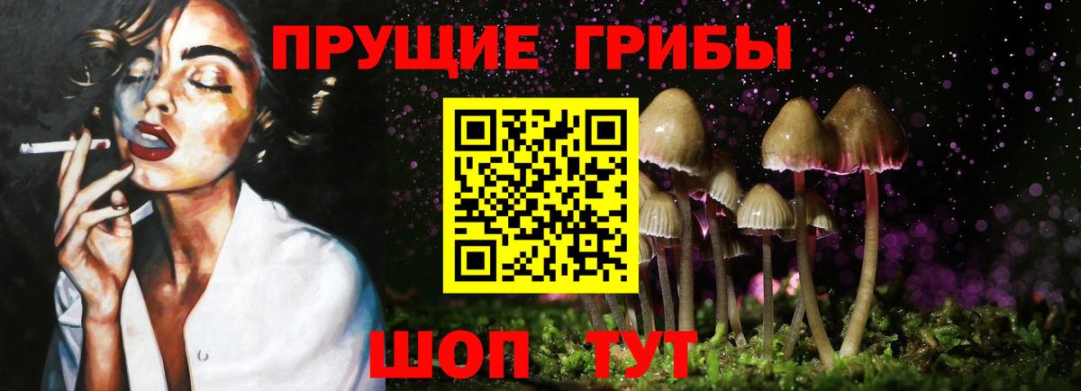 Южно-Сахалинск  дарнет шоп  Псилоцибиновые грибы Psilocybine cubensis  Вход с VPN  Псилоцибиновые грибы ЛСД 